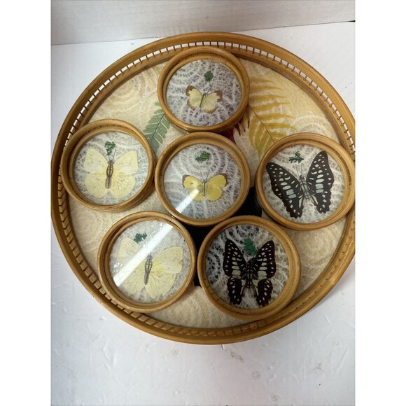 Vintage Acrylic Serving Tray MCM Pressed Butterfly And Flower Bamboo & Spirals - Picture 3 of 10
